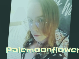 Palemoonflower