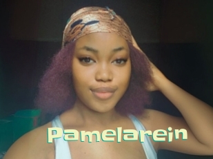 Pamelarein