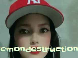Partydemondestruction