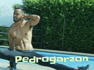 Pedrogarzon