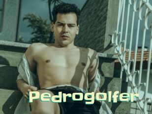 pedrogolfer Wanna Meet