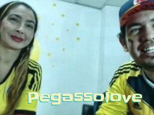 pegasso_love Wanna Meet