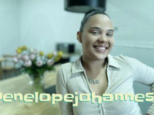 Penelopejohannes