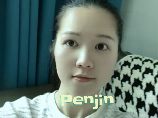 Penjin