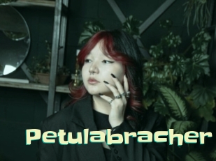 Petulabracher