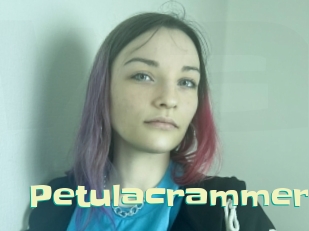 petulacrammer Wanna Meet