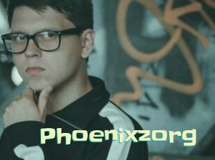 Phoenixzorg