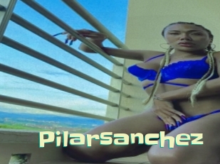 pilarsanchez Wanna Meet