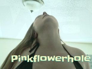 Pinkflowerhole
