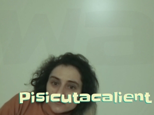 Pisicutacalient