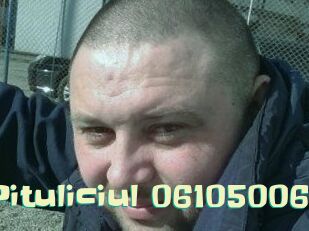 Pituliciul-06105006