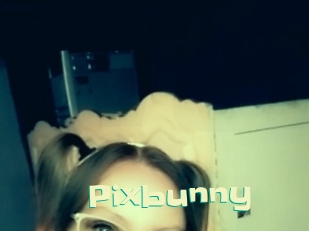 Pixbunny