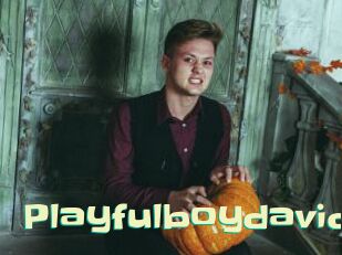Playfulboydavid