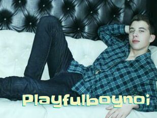 Playfulboynoi