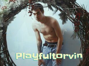 Playfultorvin