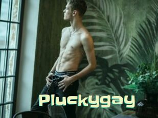 Pluckygay