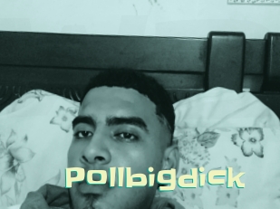 pollbigdick Wanna Meet