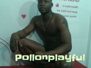 Pollonplayful