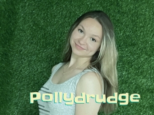 Pollydrudge