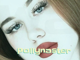 Pollynaster