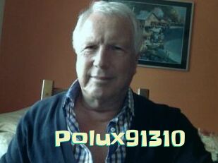 Polux91310