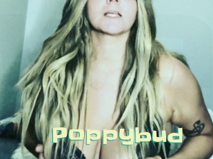 Poppybud