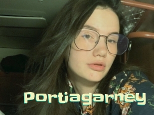 Portiagarney