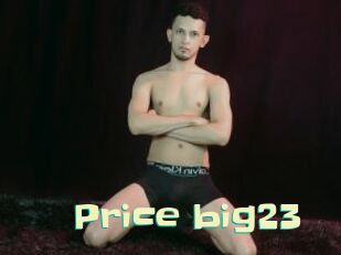 Price_big23