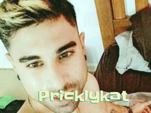 Pricklykat