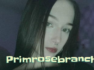 Primrosebranch