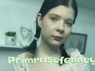 primrosefenney Wanna Meet