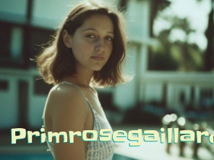 Primrosegaillard