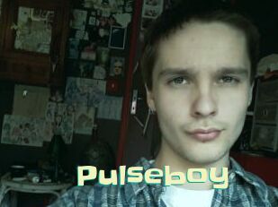 Pulseboy
