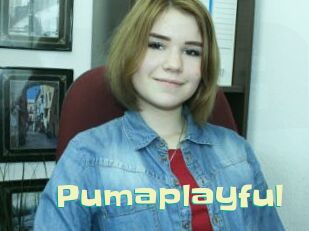 Pumaplayful