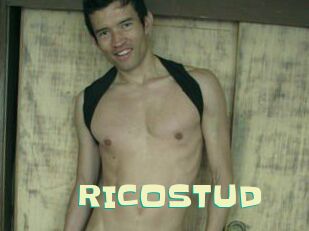 RICOSTUD Wanna Meet