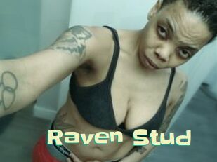 Raven_Stud