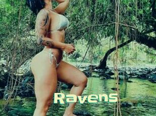 Ravens Wanna Meet