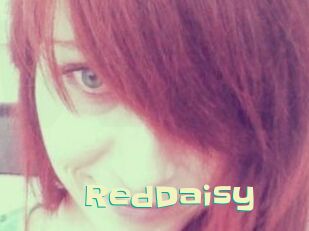 RedDaisy
