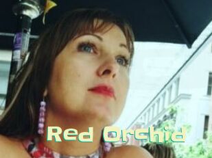 Red_Orchid