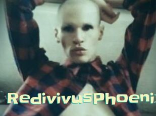 RedivivusPhoenix