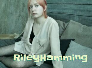 RileyHamming
