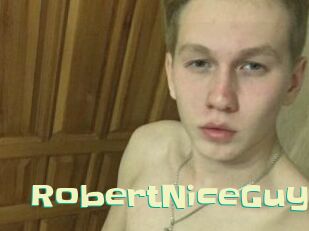 RobertNiceGuy Wanna Meet