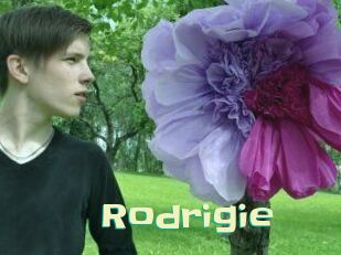 Rodrigie