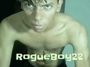 RogueBoy22
