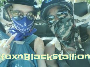 RussianfoxnBlackstallion