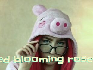 red_blooming_rose Wanna Meet