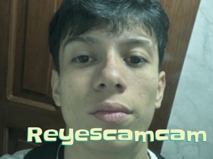 Reyescamcam
