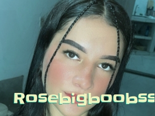 Rosebigboobss