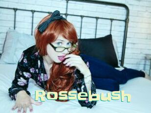 Rossebush
