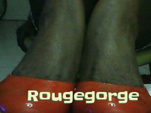 Rougegorge